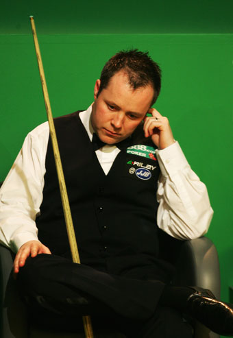 入了一个新 入了一个新