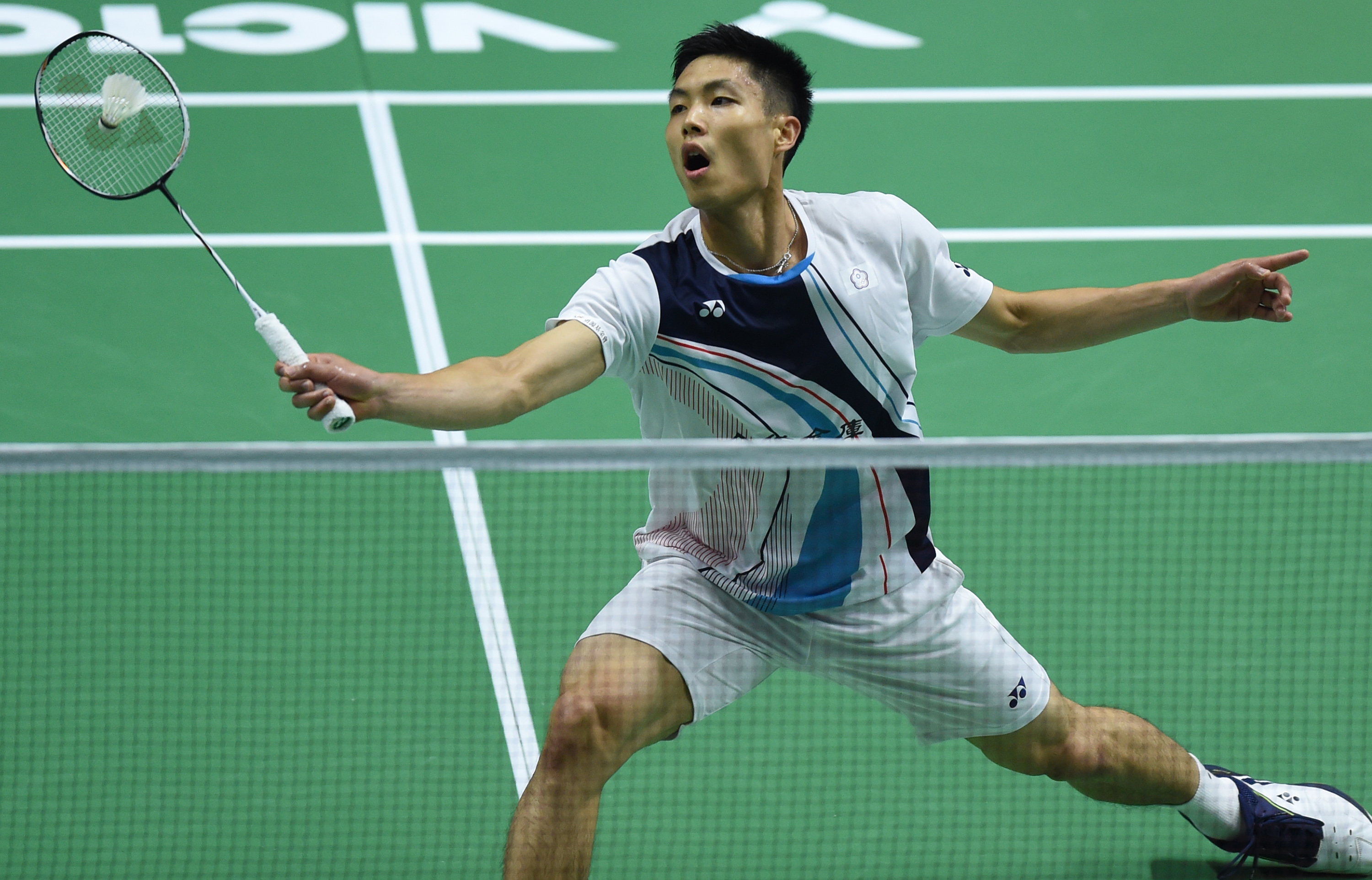 尽管卡利亚 尽管卡利亚