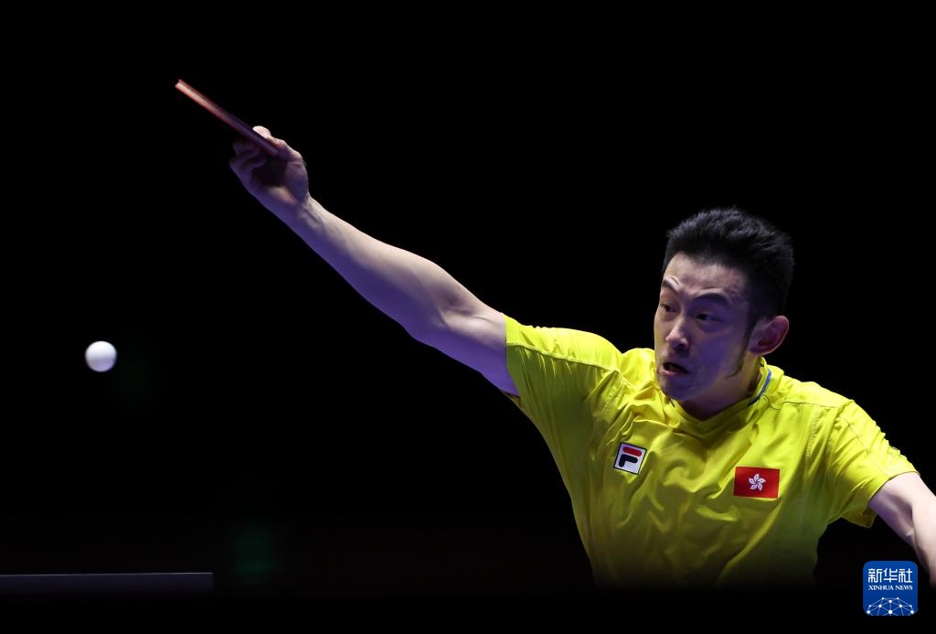 了西部赛区 了西部赛区