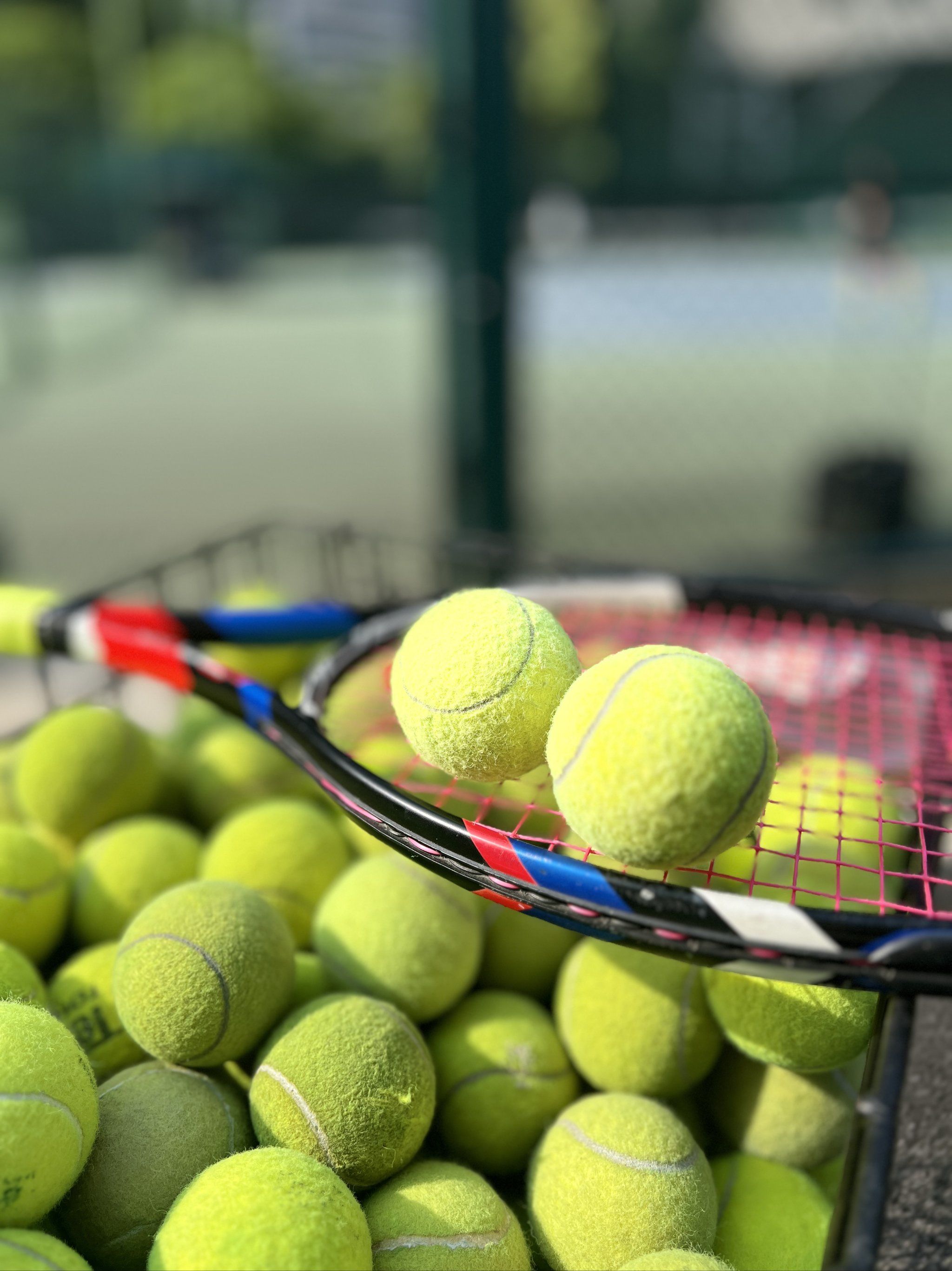 关键角色 关键角色