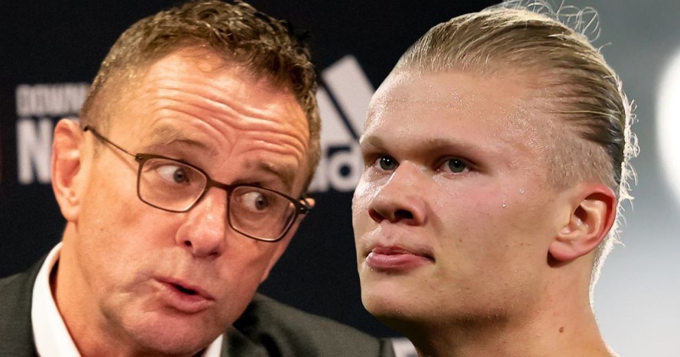 案例分析 案例分析